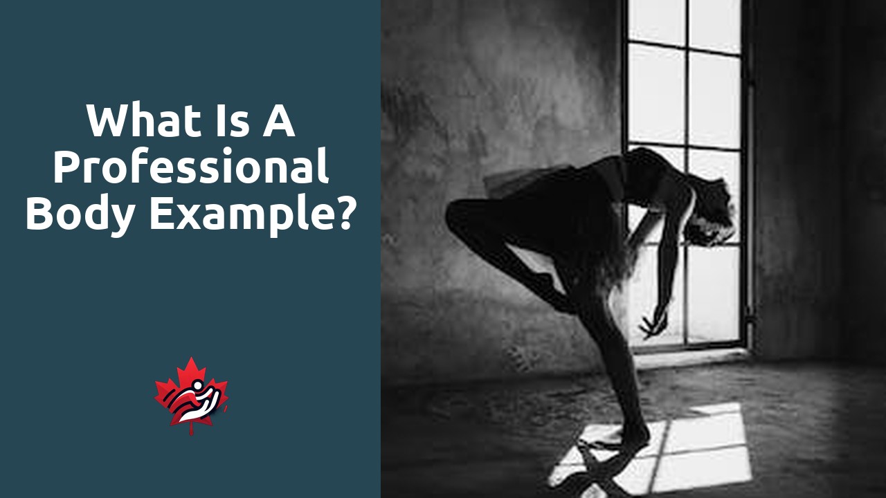 What is a professional body example?